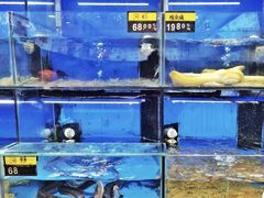 -好兄弟郭巨海鲜(天一阁店)