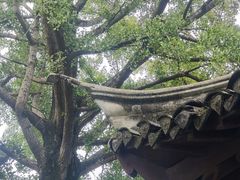 -水绘园