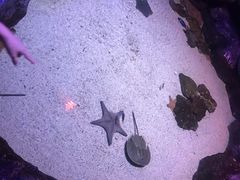 -暹罗海洋世界