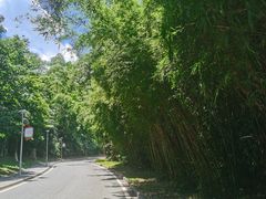-东莞植物园