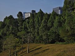 -白石龙音乐公园