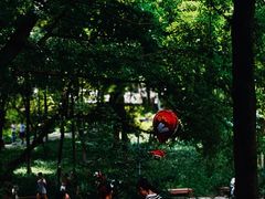 -成都市活水公园