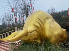 -中国大熊猫保护研究中心雅安碧峰峡基地