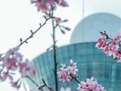 -狐尾山公园