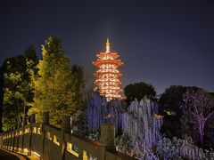 -洋湖国家湿地公园