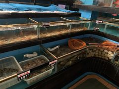 水产区-海南大院(海甸岛店)