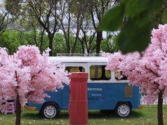 -杭州湾海上花田景区