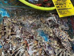 -板桥海鲜广场(文明东店)