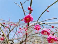 -北京世界花卉大观园