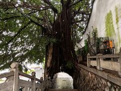 -乌山风景区