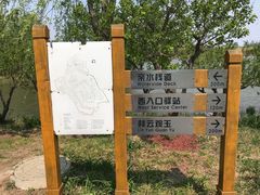 -东郊湿地公园