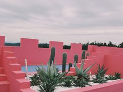 -漳州滨海火山岛自然生态风景区