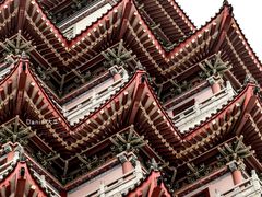 -合江楼