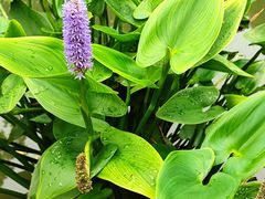 -常州古运河南大街文化旅游区-人民公园