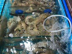 -三亚新鸿港水果一级批发市场