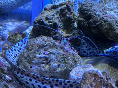 -鹿儿岛水族馆