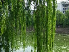 android_upload_pic-黄继光纪念馆