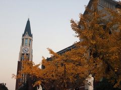 -华东政法大学(松江校区)