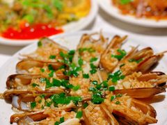 清蒸蛏子-建来发饭店(南俊路店)
