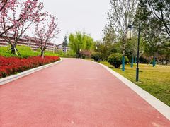 -咸阳湖景区