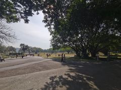 -东莞植物园