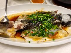 -东方御宴海鲜酒楼(棕泉酒店)