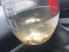 -碓臼峪自然风景区