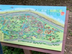 -上海滨江森林公园