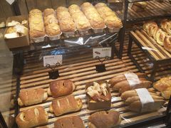 -皇冠幸福里动物奶油生日蛋糕(万达店)