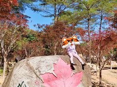 -广州市帽峰山景区