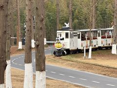 -黄海国家森林公园