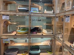 -BABIT巴比特宠物(MOMOPARK店)