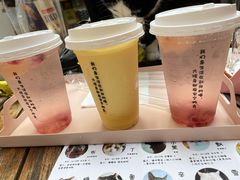 -喵屿·大理花园猫咖