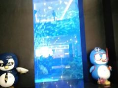 -成都浩海立方海洋公园