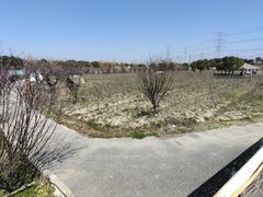 -上海杨姆庄园