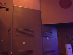 -和平大戏院(凯旋路店)