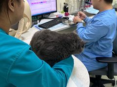 -天宠宠物医院24小时·急重症诊疗中心·全科·腔镜特色(和平分院)