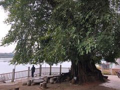 -扬美古镇景区