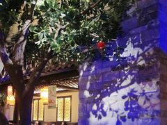 -绿茶餐厅(汇悦大融城店)