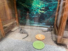 -上海大自然野生昆虫馆(东方明珠·爬宠昆虫探索中心)