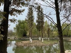 -澹台湖公园