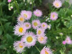 -天真蓝照相馆(杭州滨江宝龙店)