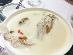 养颜白汁河豚-肆月河豚·新淮扬(金融街店)