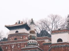 -颐和园