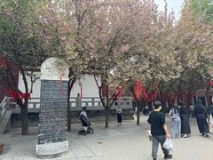 -西安青龙寺遗址景区