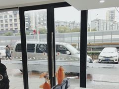 -艾贝尔宠物医院·24H转诊中心·肿瘤猫专科(江宁双龙店)