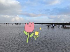 -南汇嘴观海公园