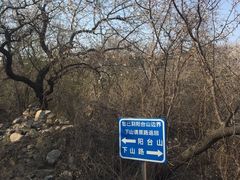 -阳台山自然风景区