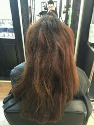 YANG-3AM HAIR SALON烫发染发接发