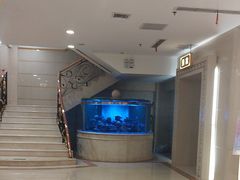 -碧中海汤泉汗蒸酒店